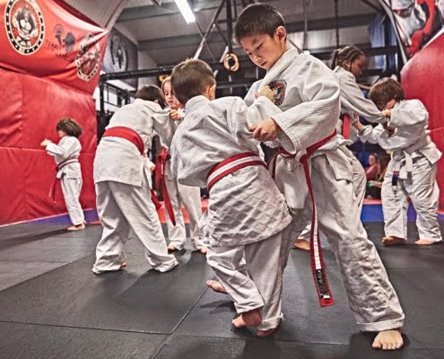 Commando Temple Judo Kids